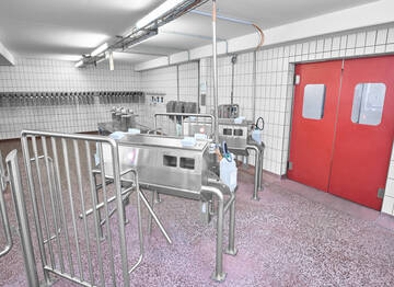 Personal-Hygieneschleuse Schlacht- und Zerlegebetrieb für Schweine (Fleischwarenindustrie) | Mohn GmbH