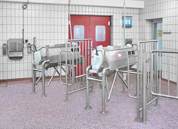 Personal-Hygieneschleuse Schlacht- und Zerlegebetrieb für Schweine (Fleischwarenindustrie) | Mohn GmbH